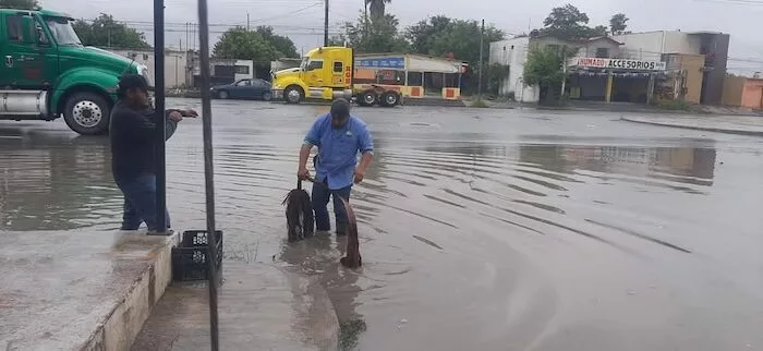 Comité de contingencias activo de manera permanente