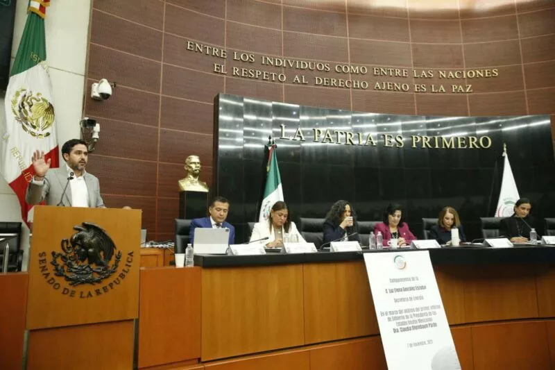 PAN Cuestiona a Luz Elena González