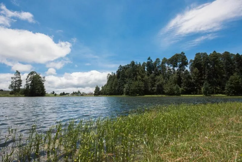 Prioriza GPPVEM reformas en biodiversidad, alimentación y deporte