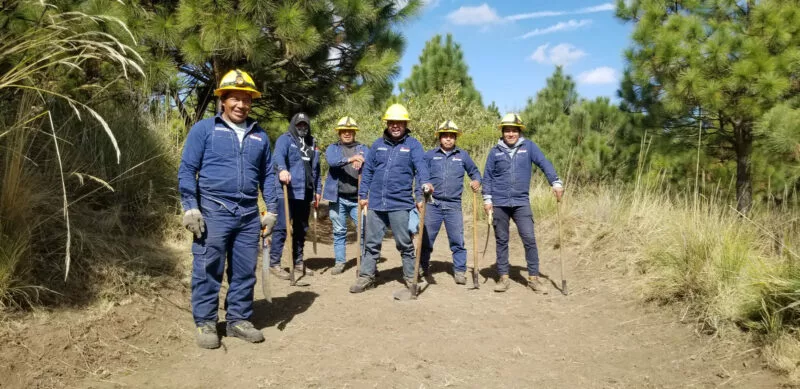 Consolida Toluca su brigada forestal por ser un escudo verde para frenar incendios y proteger áreas boscosas