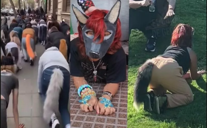 Mega encuentro Therians genera expectativa entre jóvenes en San Mateo Atenco