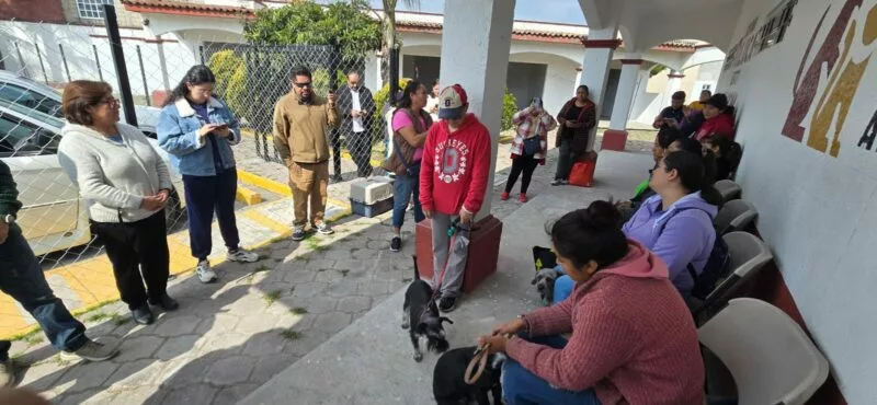 Fortalece Toluca el bienestar animal con más de 750 esterilizaciones y 421 vacunas antirrábicas en 14 días