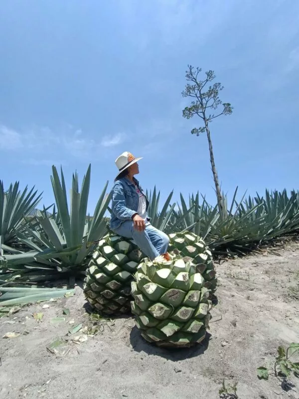 Destilados artesanales, gastronomía, música y la inauguración de una zona de arte en la XII edición del MEZCALFEST.MX