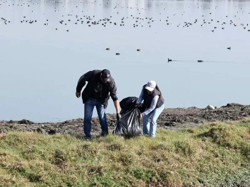 Limpia Gobierno municipal y ciudadanía bordo de San Jerónimo en San Pablo Autopan