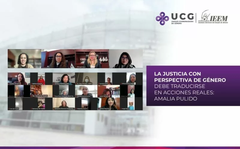 La Justicia con Perspectiva de Género debe traducirse en acciones realizables: Amalia Pulido