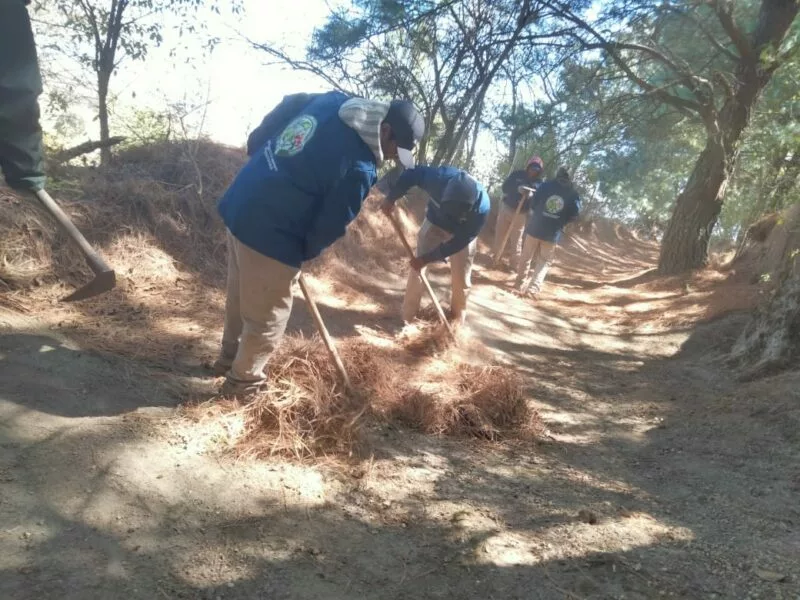 Fortalece Brigada Forestal y Contra Incendios de Toluca acciones para proteger los bosques con brechas cortafuego