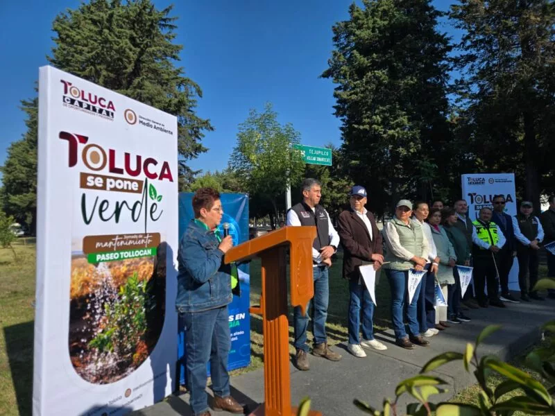 Iniciativa de Ricardo Moreno recupera esplendor de áreas verdes en 6.5 kilómetros de Tollocan