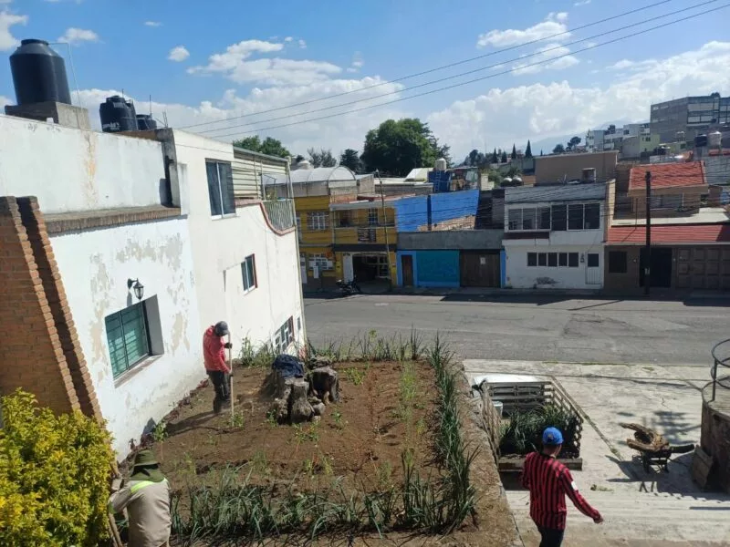 Promueve Ricardo Moreno biodiversidad urbana con la instalación de jardines polinizadores