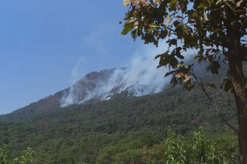 Implementan  plan en la región sur para prevenir incendios forestales