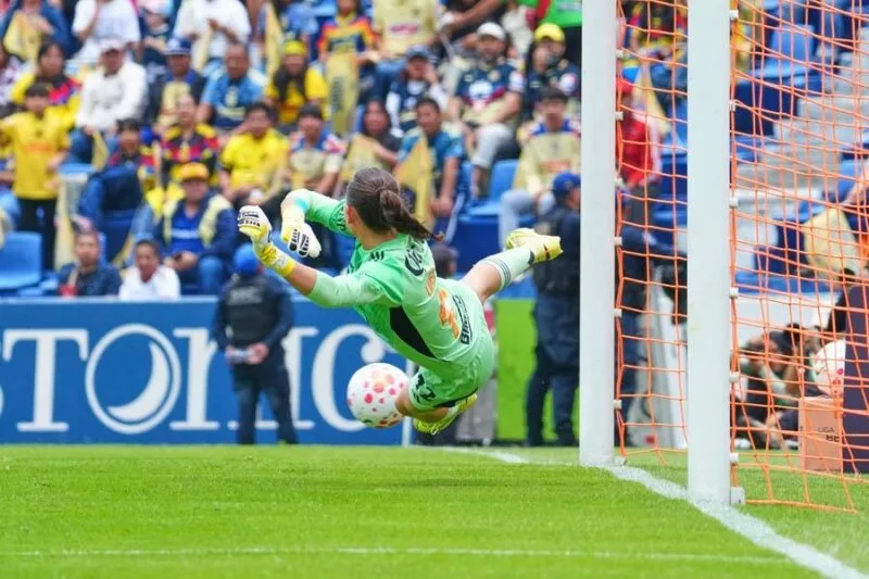 Dieron batalla
