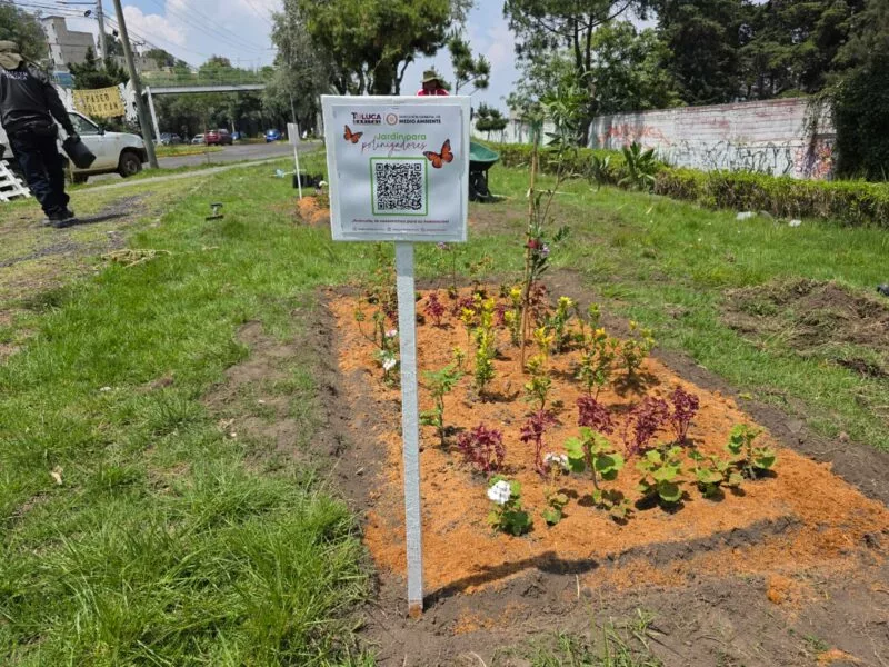 Impulsa Toluca la instalación de 100 jardines polinizadores