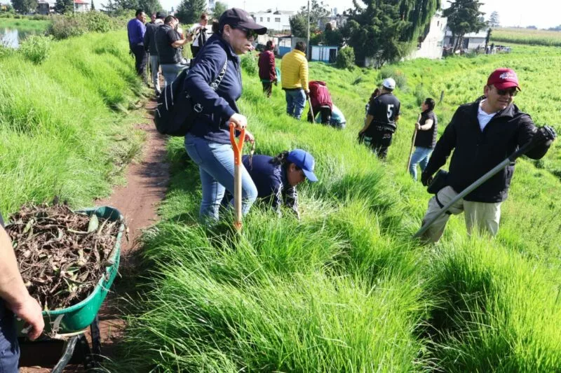 Recupera Ricardo Moreno espacios verdes con estrategia de arborización histórica