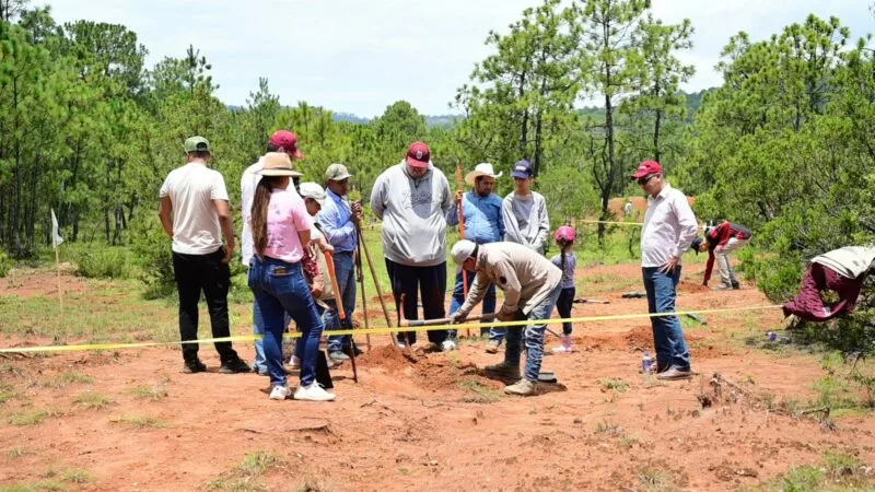 Gobierno del EdoMéx da mantenimiento a zonas restauradas en San Simón de Guerrero para la recuperación de bosques y captación de agua