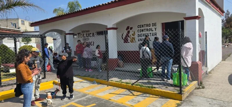 Impulso histórico al bienestar animal en Toluca con Extensión Norte: Ricardo Moreno